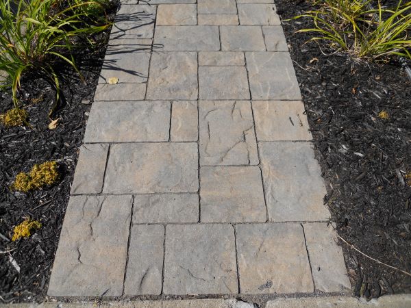 Stamped Concrete Staining in El Dorado Hills